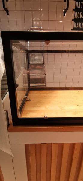 HORECA: работа мастерской «Ветви», фото 147